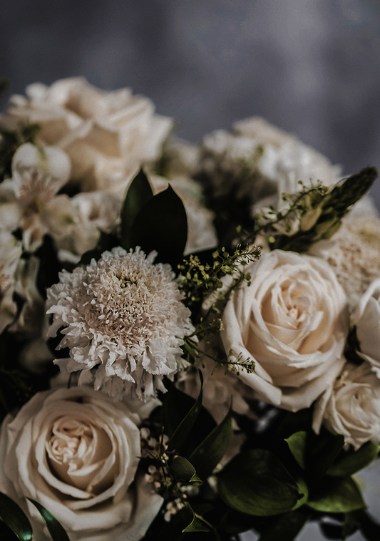 Drawing Room Subscription